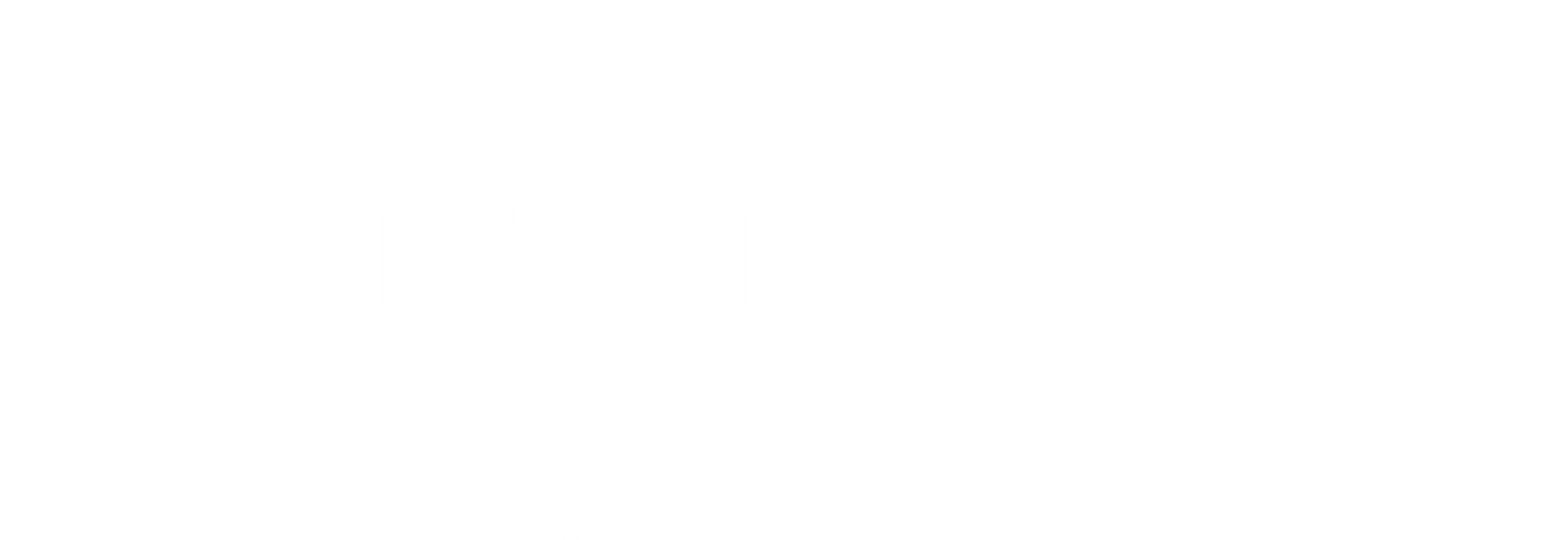 Braga agencja interaktywna